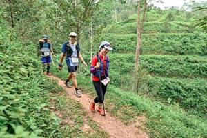 BIB: 
                            <button type="button" onclick="openModal(24878790)" class="btn btn-primary btn-sm float-right btn-popup" data-toggle="modal" data-target=".modal-high-quality">
                        <i class="fas fa-shopping-cart"></i> Add to Cart
                    </button>
                                            <button type="button" onclick="isThisMe(24878790, true)" class="btn btn-success btn-sm float-right btn-popup btn-isme hidden" data-toggle="tooltip" data-placement="bottom" title="นี่คือรูปของคุณใช่ไหม คลิกที่นี่เพื่อเอาเข้าอัลบั้ม">
                        <i class="fas fa-plus"></i> Add to album
                    </button>
                    <button type="button" onclick="isThisMe(24878790, false)" class="btn btn-warning btn-sm float-right btn-popup btn-isnotme hidden">
                        <i class="fas fa-ban"></i> Remove from album
                    </button>